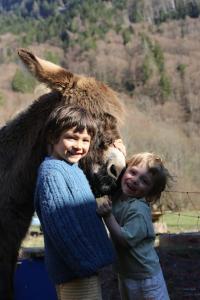 Chalet Gîte ferme en permaculture avec ses animaux 133 chemin du Brairet 74740 Sixt-Fer-à-Cheval Rhône-Alpes