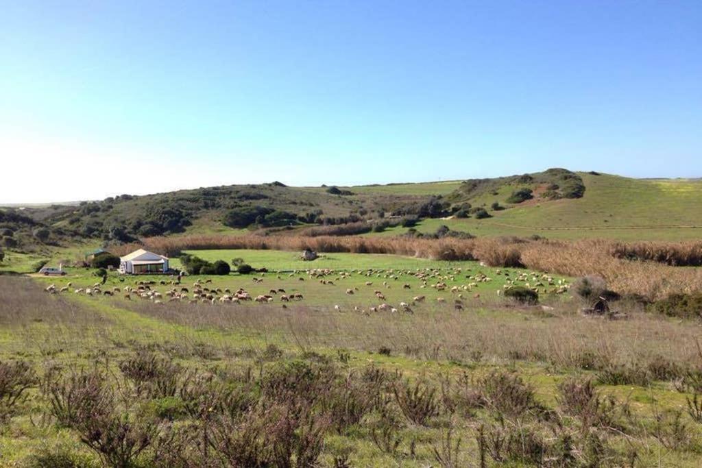 Glamorous Cabin on a Farm Sitio do Carapetal Apartado 45, 8650-442 Vila do Bispo