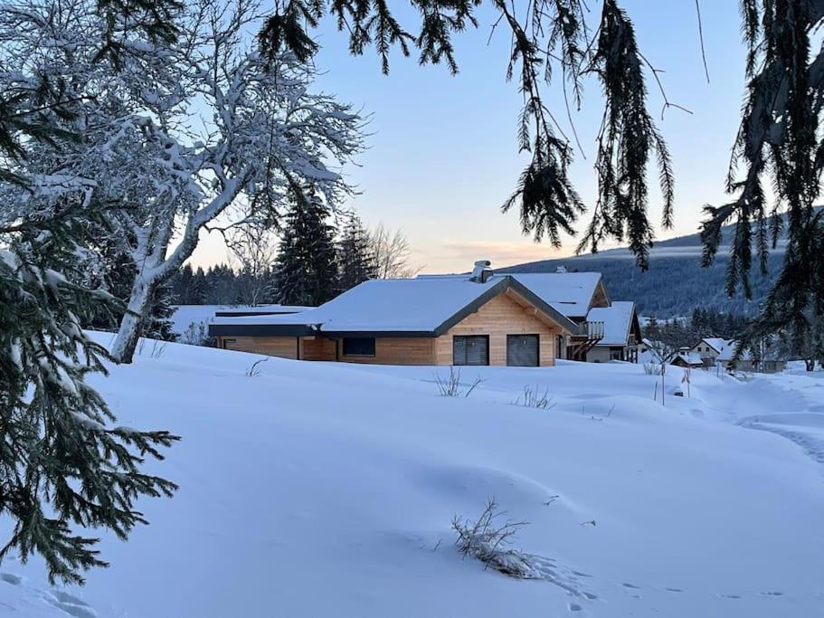 Chalet Chalet Grand Standing, la Nature pour vis à vis 110 Chemin du Grand Cher, 39220 Les Rousses