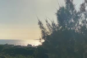 GUEST HOUSE - Caparica - Trafaria - Surf Sun and Lisbon Lovers