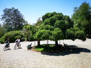 Herdade Clube Tiro Monfortinho