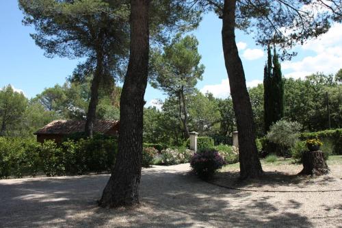 Il Sole