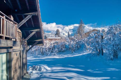 Immobilier De Montagne - La Collection - Jebel Blanc