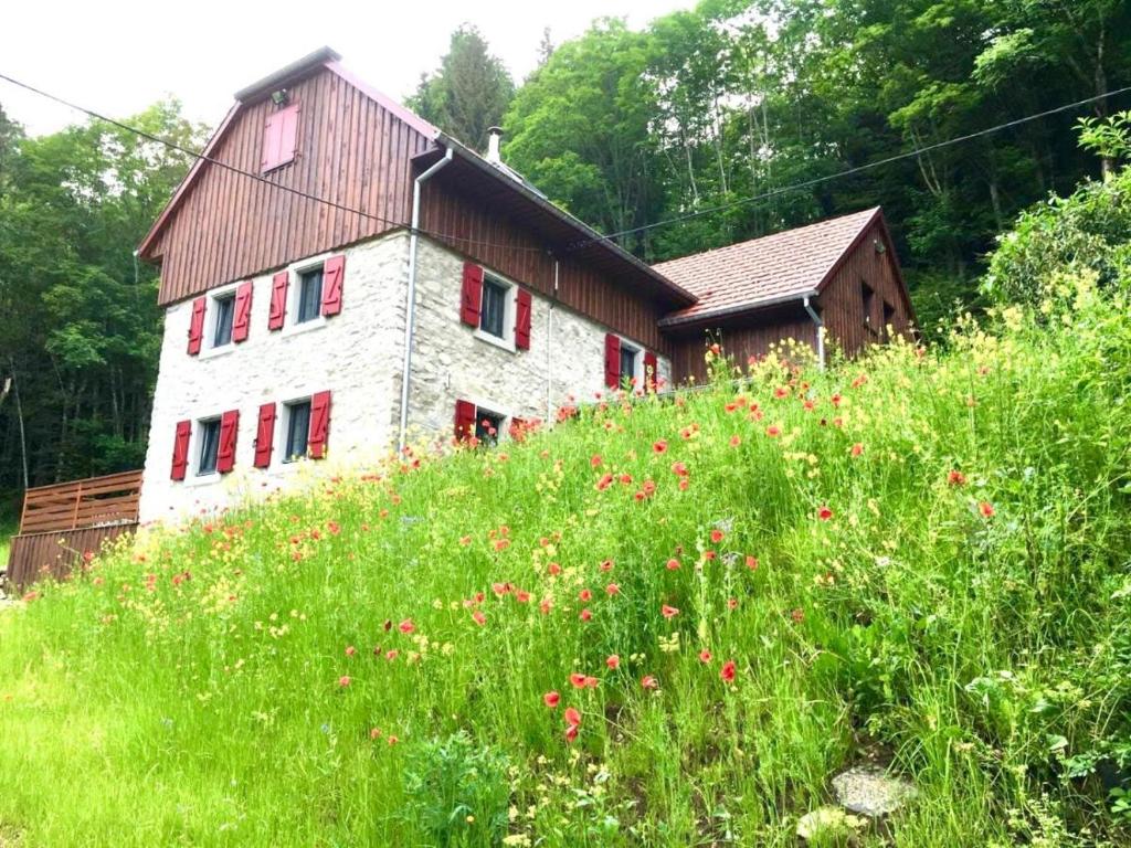Chalet Incroyable Chalet typique dans les Vosges du Sud 171 Rue de Rimbuhl 68610 Linthal