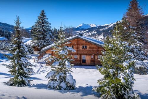 Chalet Joux Verte - OVO Network Les Gets france