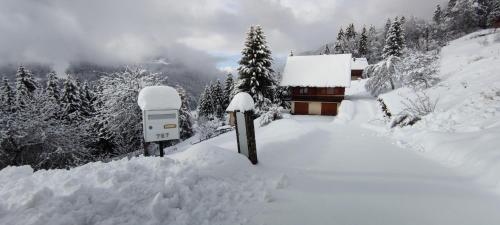 Chalet Chalet l'Alpe 787 route des Lanches Saint-Pierre-dʼEntremont