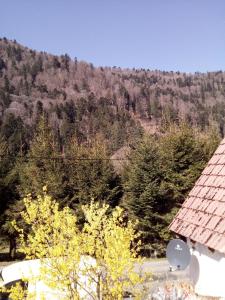 Chalet L Annexe 21 Chemin des Noisetiers 68380 Mittlach Alsace