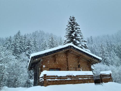 Chalet L'Armoy La Giettaz france