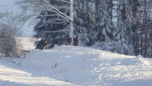 L'ATELIER, chalet 3*