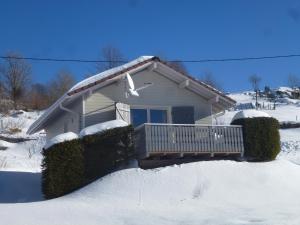 La Bresse Hautes Vosges Chalet \