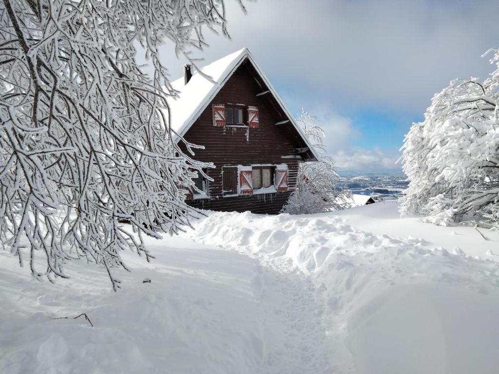 La cabane au pied des pistes 9 Rue du Pépouget, 63680 Chastreix