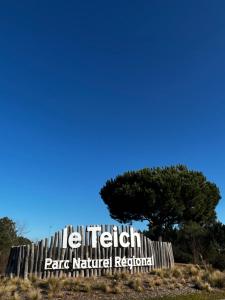 La cabane de Carol au coeur du bassin d'Arcachon
