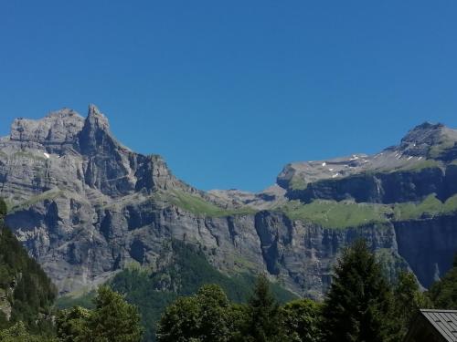 Chalet Chalet la corne du chamois 417 Route du Frenalay Sixt-Fer-à-Cheval