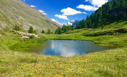 Chalet la Lauzette Bessans france