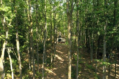 LA MAISON DES BOIS de VAUMONTEUIL