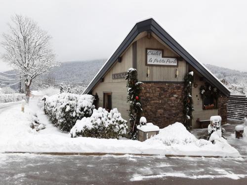 Chalet la Petite Perle Gérardmer france