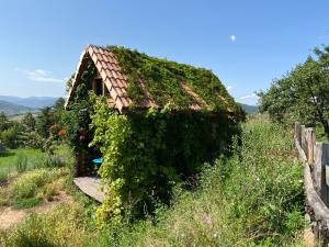 La roulotte et la cabane de la colline seive