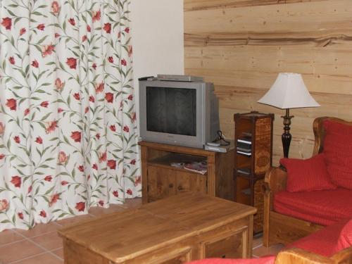 Large Ski Chalet, Grand Massif, France