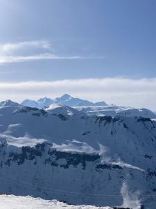 Large Ski Chalet, Grand Massif, France