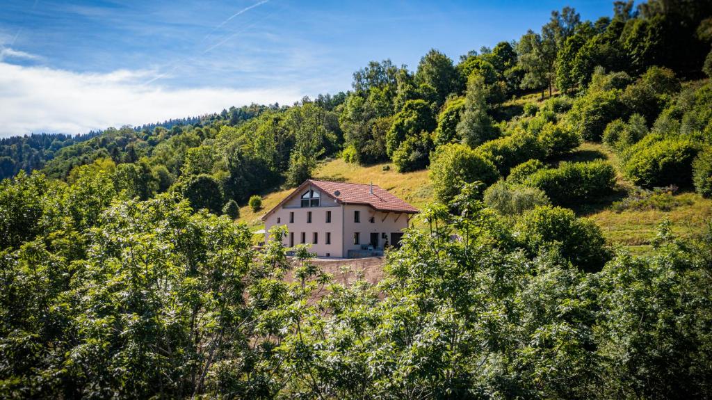 Chalet Le 11 des Bouchaux, Gîte d'exception 11 Route des Bouchaux 88250 La Bresse