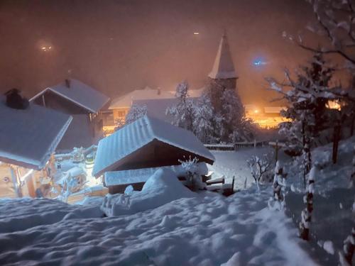 LE BLANC NORDIQUE