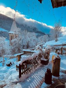 LE BLANC NORDIQUE