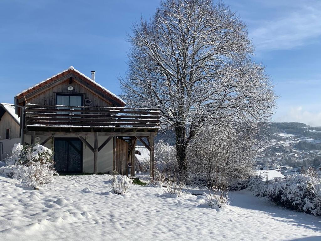 Le Chalet de Juliette 33 Chemin des Myrtilles, 88400 Gérardmer