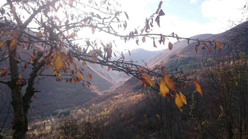 Le Chalet de Larcat