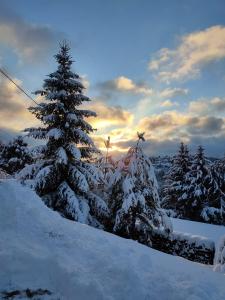 Le chalet de Rothenbuhl