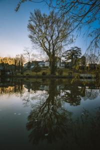 Le chalet du bout du monde, en bord de rivière !