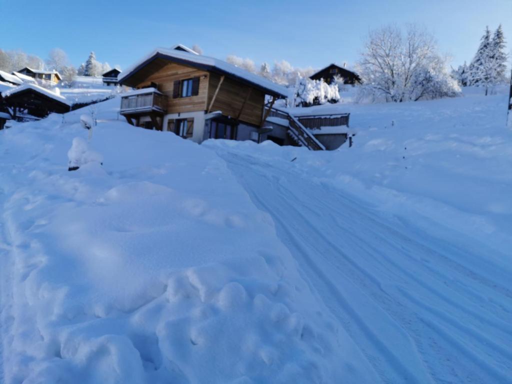 Le chalet du Brabant à 200 mètres des pistes 57 Route du Brabant, 88250 La Bresse