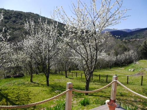 Le Chalet