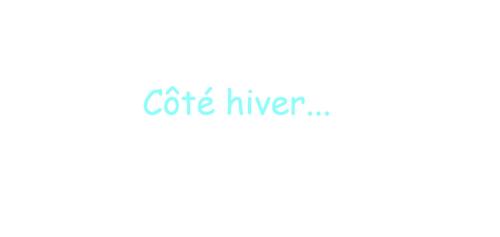 Le Chalet Savoyard - Vos vacances familiales et cosy de 6 à 14 pers