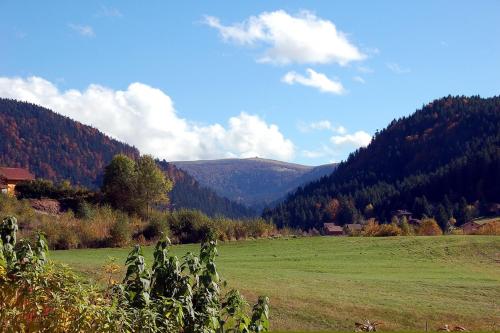 Le Murmure du Ruisseau