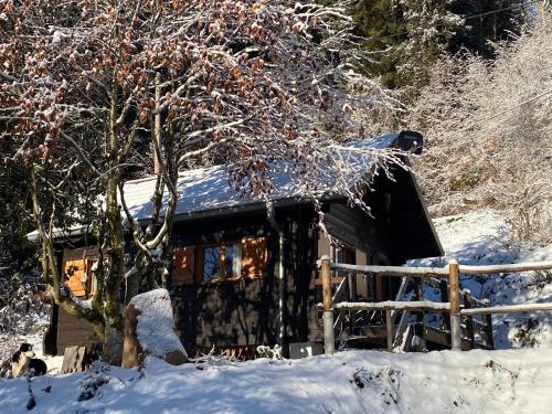 Le Paradis de Verdure