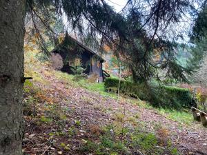Le Paradis de Verdure