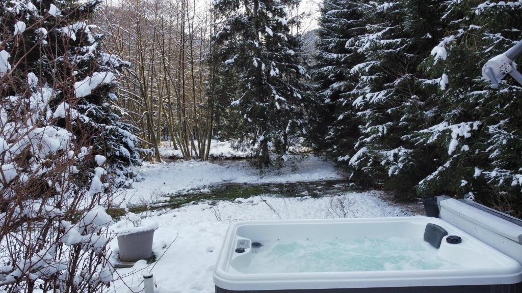 Chalet Le Petit Bouchot & Jacuzzi privatif proximité Gerardmer & La Bresse 32 Rue des Truches 88120 Rochesson