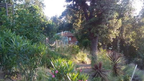 Le petit chalet