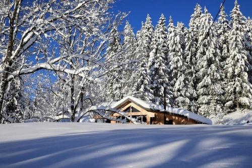 Chalet Chalet Le Petit Jura 43 route de la Pierre Percée Morbier