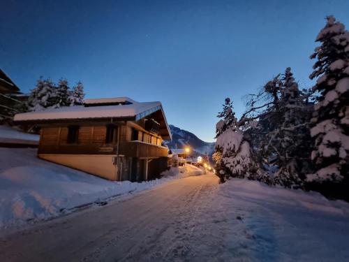 Chalet le Petit Ramoneur Châtel france