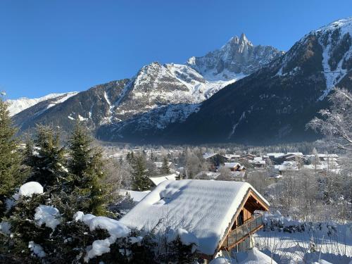 Chalet Chalet le Point de Vue 161 Chemin des Campanules Chamonix-Mont-Blanc