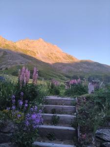 Le Ptit Chalet
