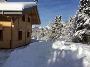 Chalet Le Savoyard 1780 Route de la Dranse 74390 Châtel Rhône-Alpes