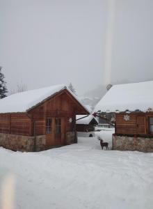 Les 3 Petits Cochons Chalet Puy Saint Vincent Village