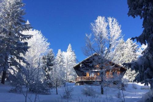 Chalet Chalet Les Airelles Boucle de l'Angle Est Montcel