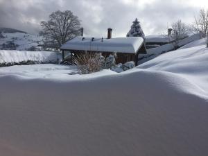 Les Bruyeres