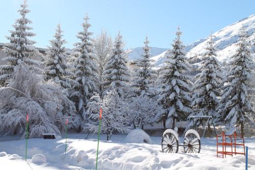 Chalet les Clarines Valloire france