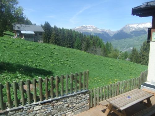 Chalet les Gentianes Les Coches france