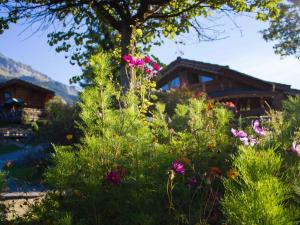 Chalet Les Greniers du Mont Blanc 201 Impasse de la Terrasse 74190 Passy Rhône-Alpes