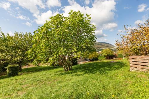 Chalet Les Tourelles Aix-les-Bains france